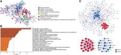 Identification of Two m6A Readers YTHDF1 and IGF2BP2 as Immune Biomarkers in Head and Neck Squamous Cell Carcinoma